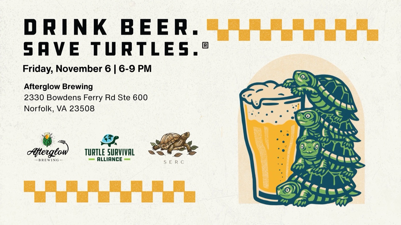 Drink Beer. Save Turtles. event flyer with turtles stacked beside a pint glass